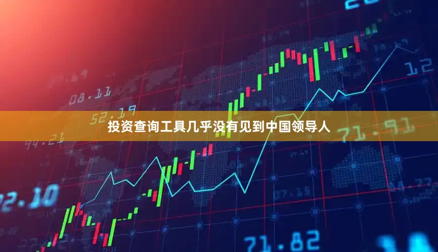 投资查询工具几乎没有见到中国领导人