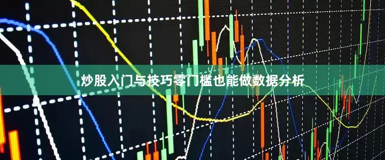 炒股入门与技巧零门槛也能做数据分析