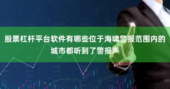 股票杠杆平台软件有哪些位于海啸警报范围内的城市都听到了警报声