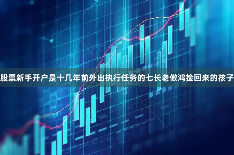 股票新手开户是十几年前外出执行任务的七长老傲鸿捡回来的孩子