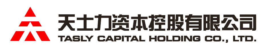 PA电子资本控股有限公司